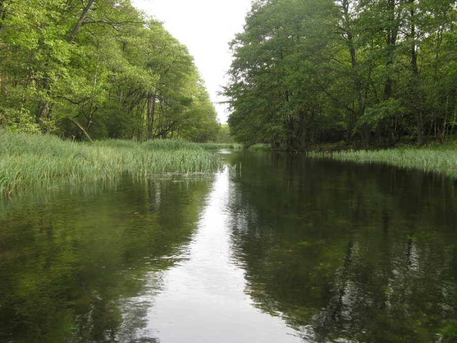 Rzeka Rurzyca